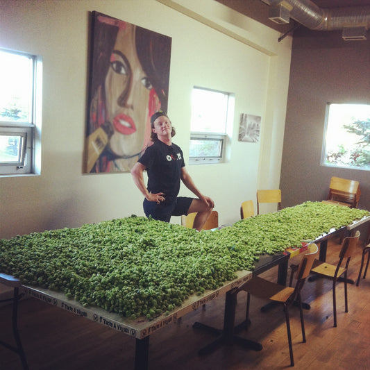Village Gardener Seventh Annual Brew