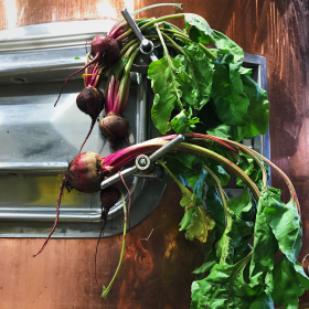 Village Gardener Beet Session Ale