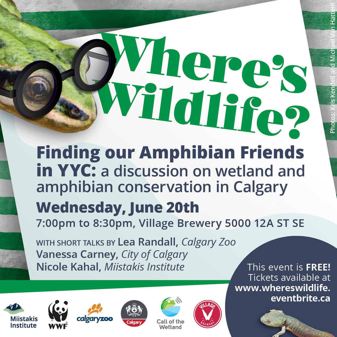 Science Cafe: Where's Wildlife? Finding Amphibian Friends in YYC